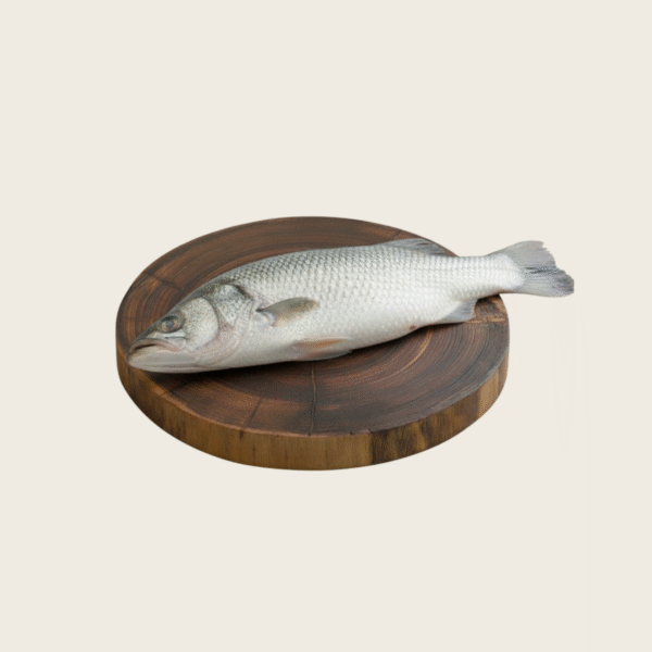 Blue Bold Modern Fashion Coming Soon Poster Logo 34 Seabass