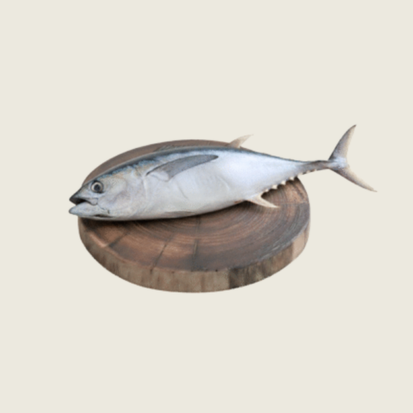 Tuna fish