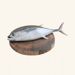 Tuna fish