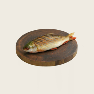 Rohu Fish