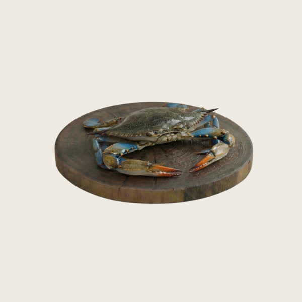 Blue Crab