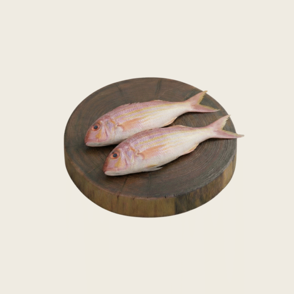 Untitled design 22 Pink Perch