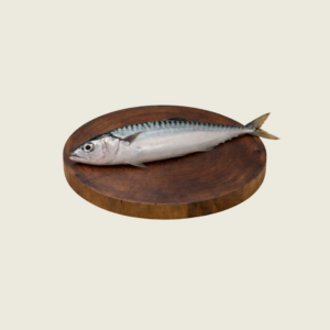 Mackerel
